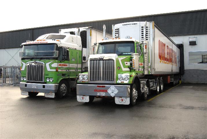New Western Star 4x8
